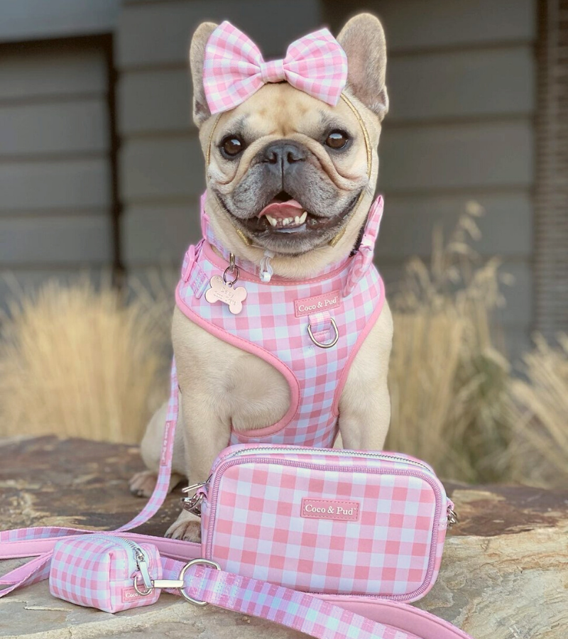 Gingham 'Dog Walking' Crossbody/Waist Bag - Rose