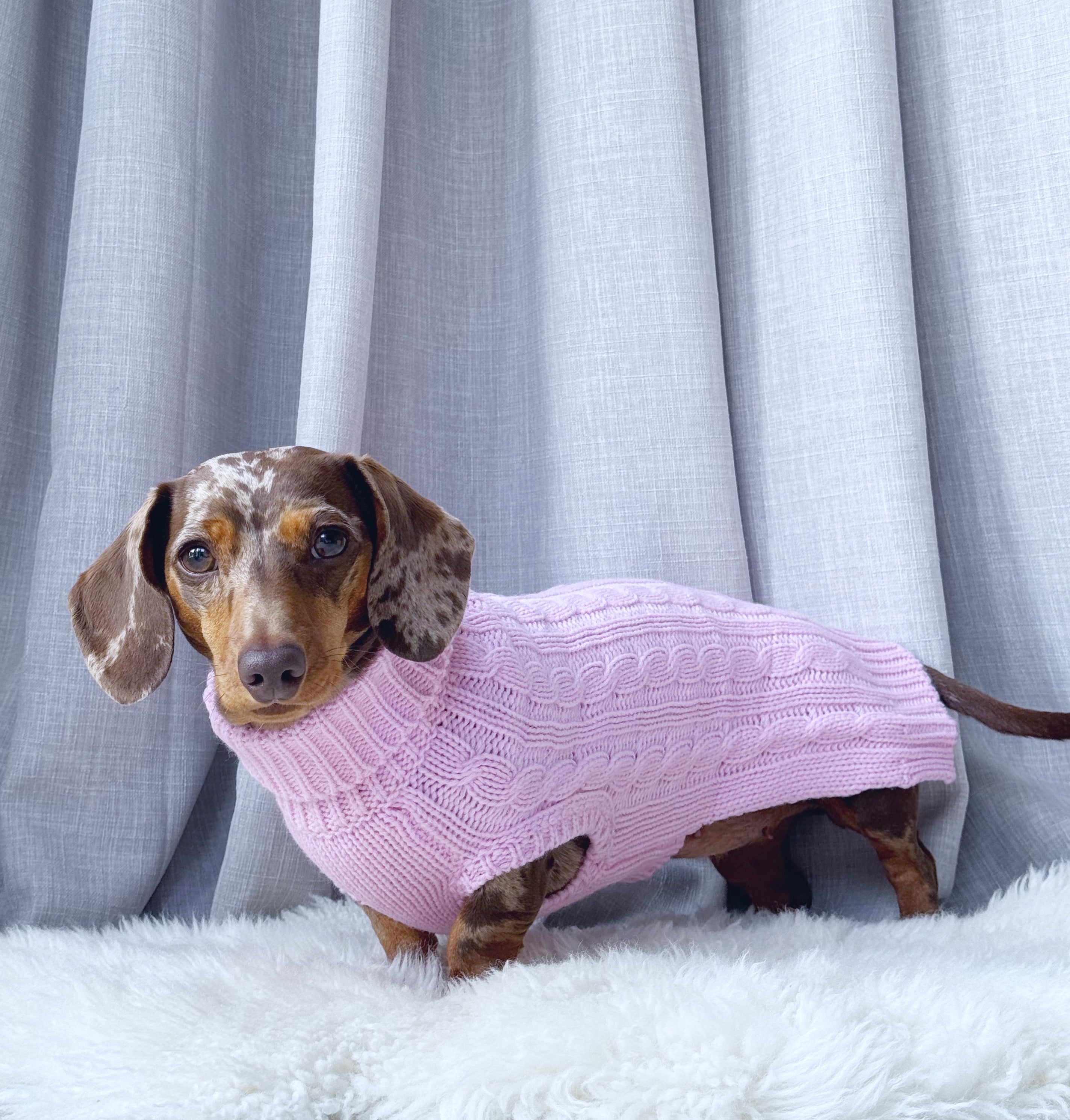 Dachshund Cable Dog Sweater Dog Jumper Light Pink