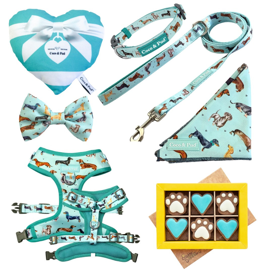 Doxie Love Dog Hamper Bundl