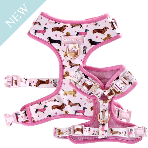 Coco & Pud Doxie Rose Adjustable Dog Harness