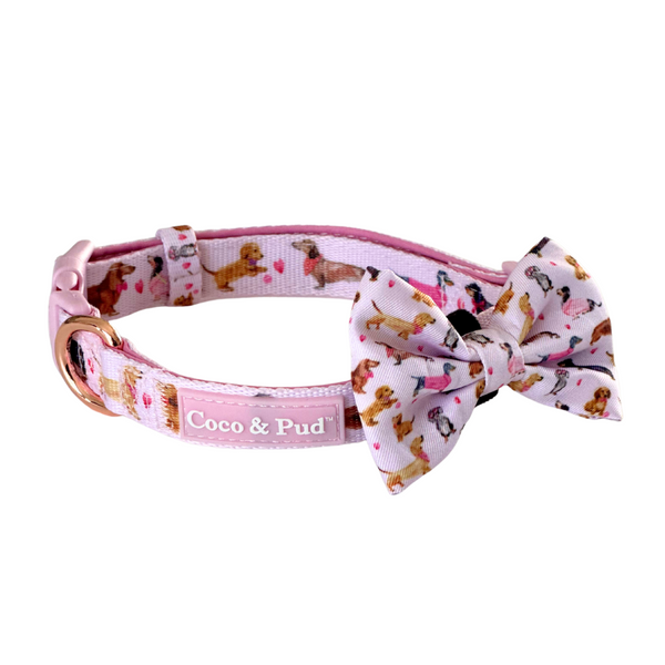 Coco & Pud Doxie Rose Dog Collar & matching Bow tie