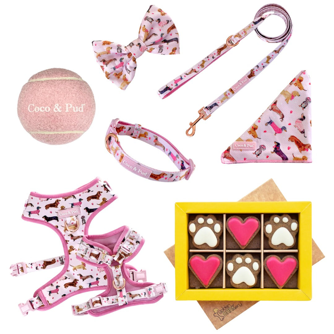 Coco & Pud Doxie Rose Valentines Day Mini Love Dog Hamper