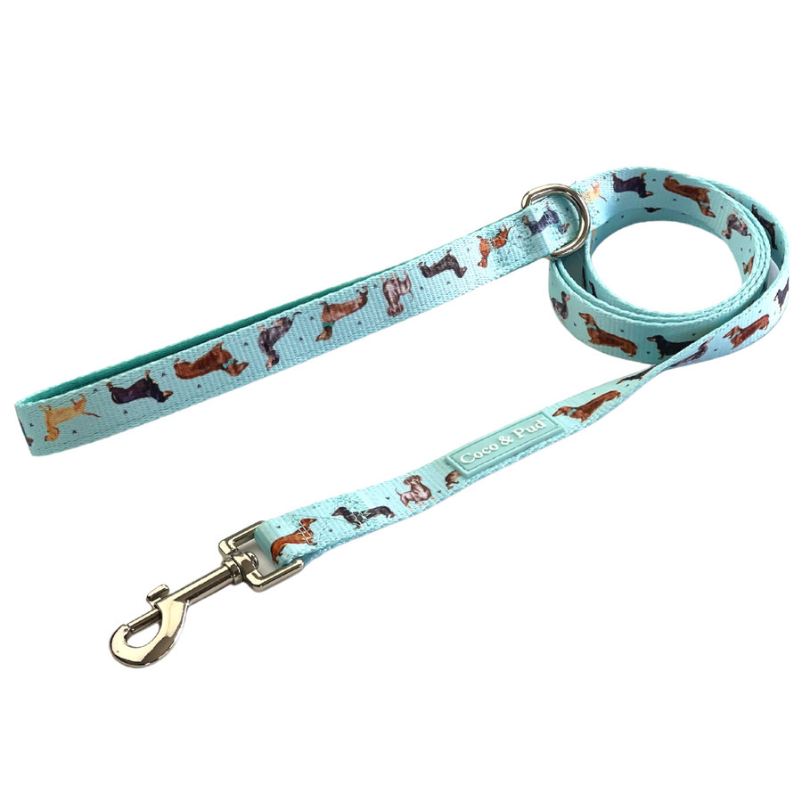 Coco & Pud Doxie Love Dog Lead