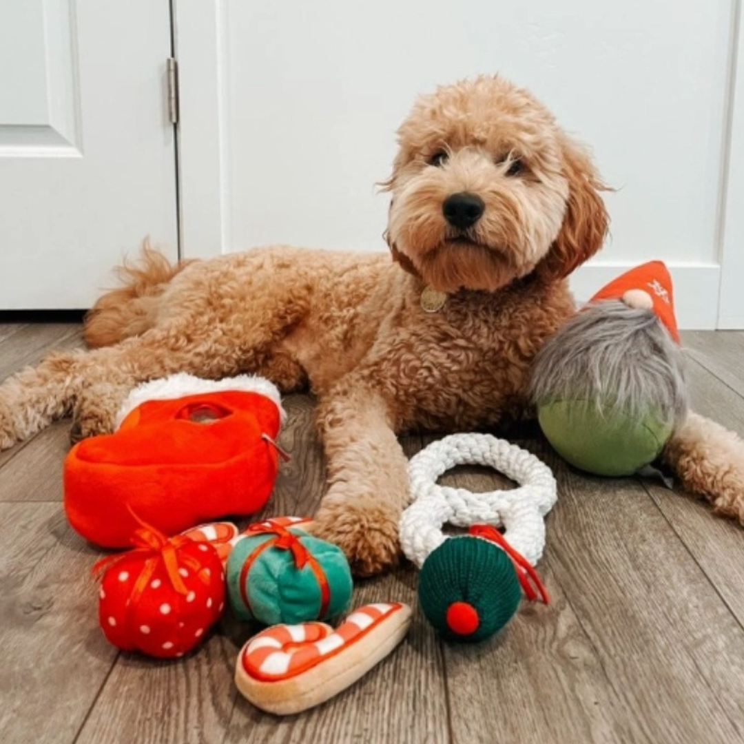 Find A Toy Christmas Stocking Dog Toy