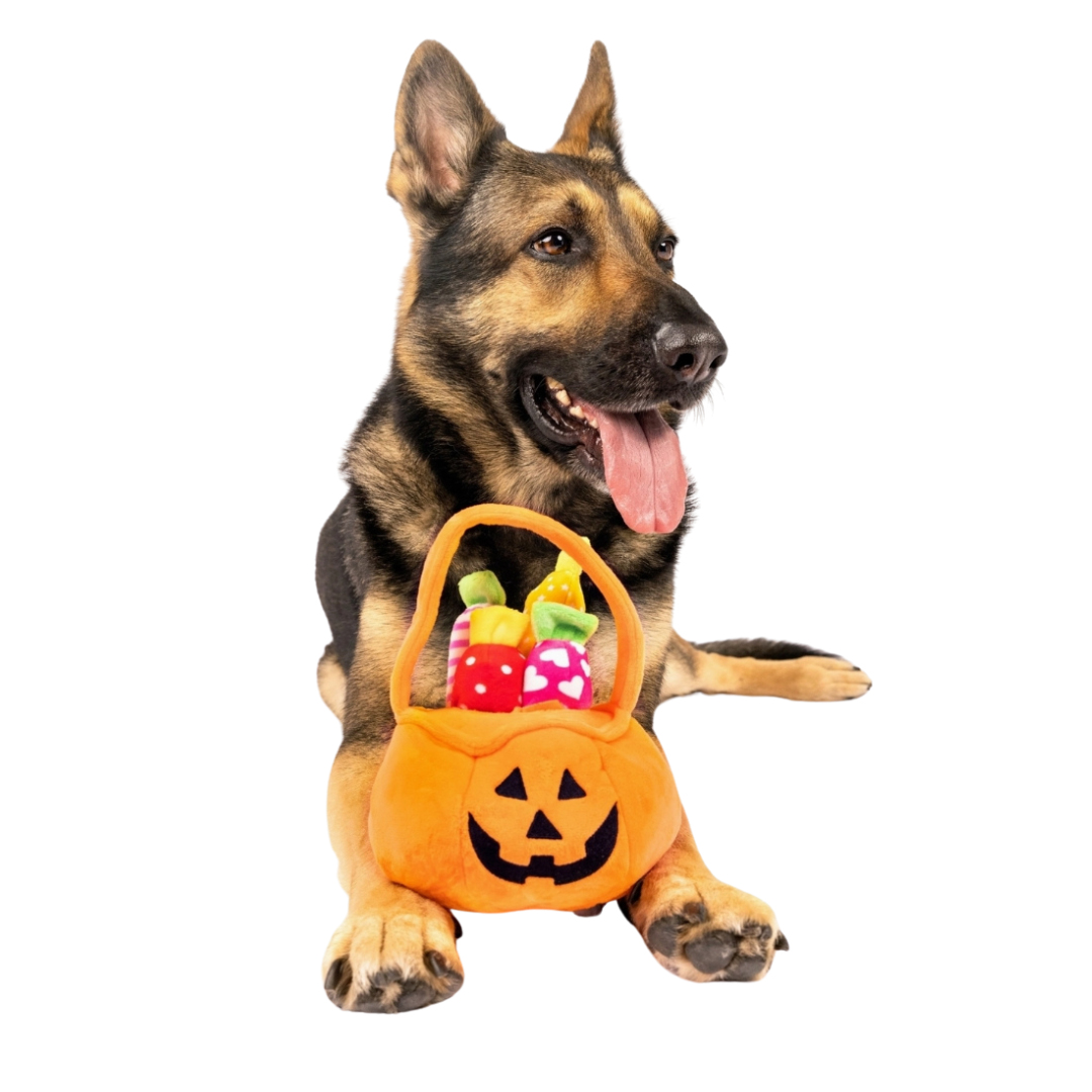 Coco and Pud Find A Toy Halloween Pumpkin Bucket Dog Toy
