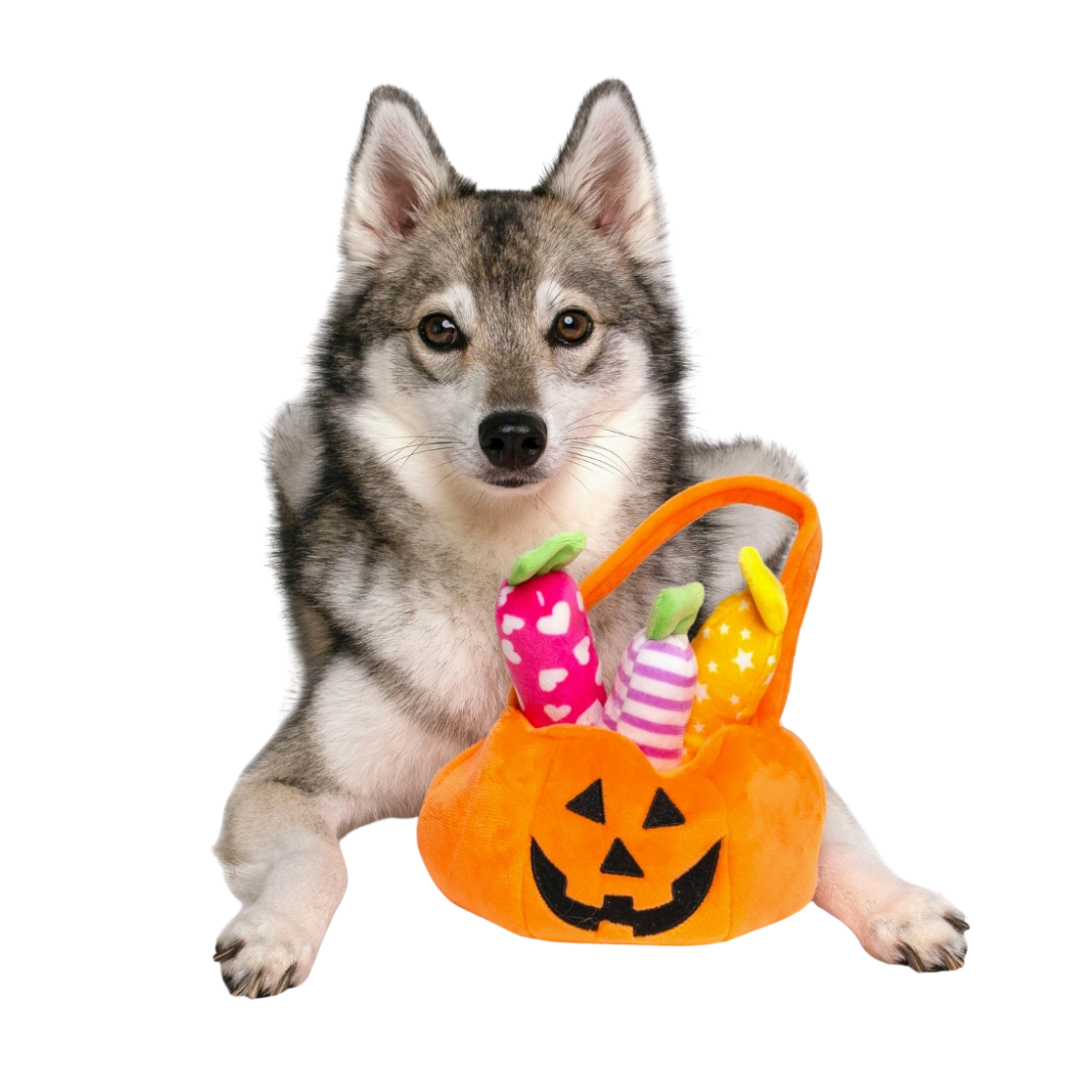 Pumpkin squeaky dog toy deals