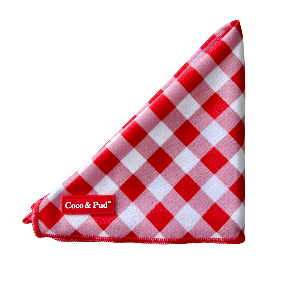 Gingham Red Dog Bandana gingham-red-dog-bandana