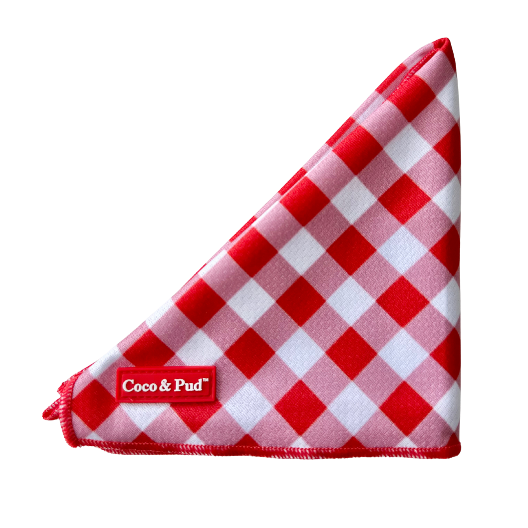 Gingham Red Dog Bandana