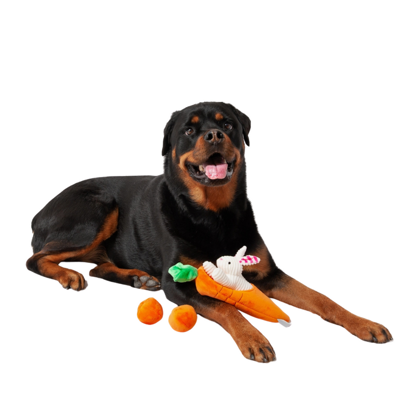 Coco & Pud Hide A Toy Carrot with Balls & Rabbit Easter Dog Toy