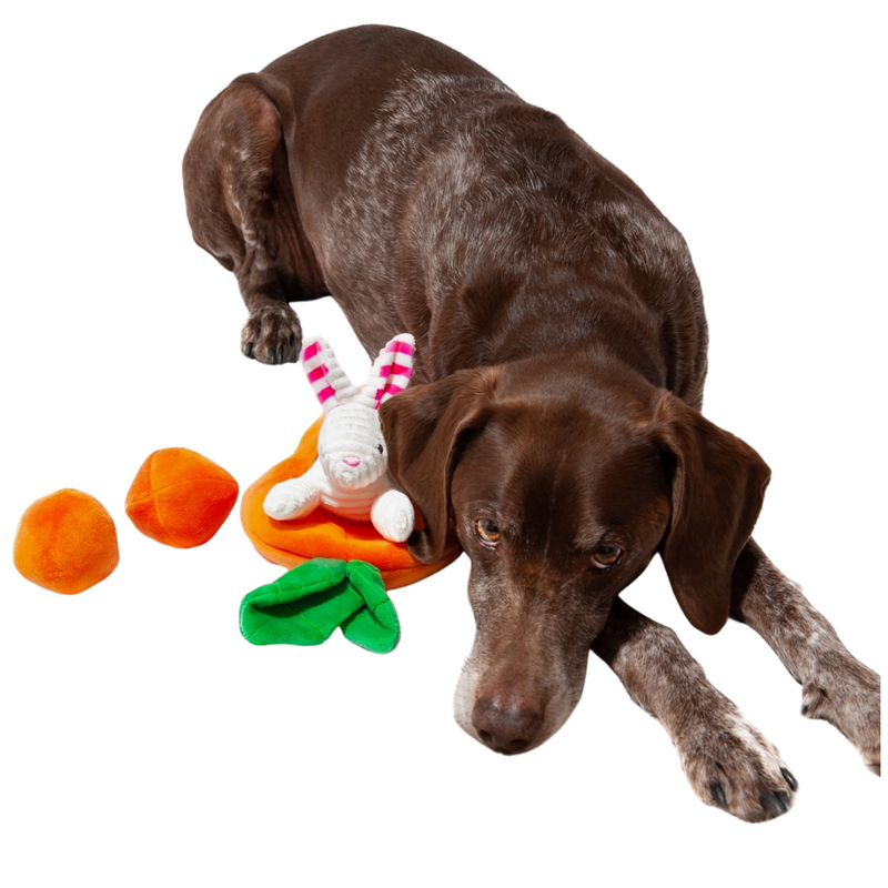 Hide A Toy Carrot Dog Toy Coco Pud