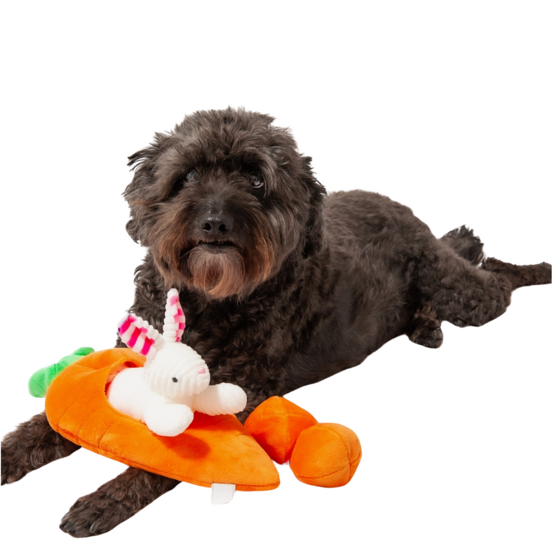 Easter dog toys petsmart best sale
