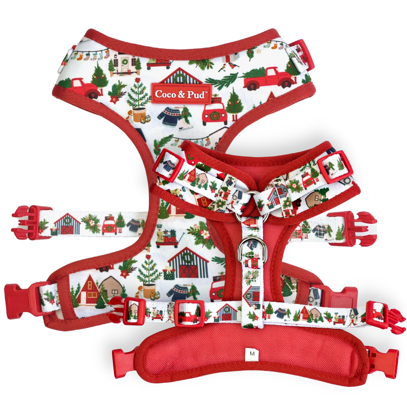 COco & Pud Home for Christmas dog harness