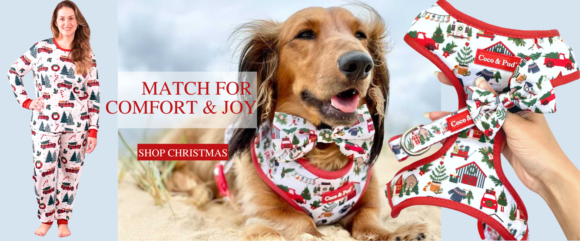 Puppy accessories online discount
