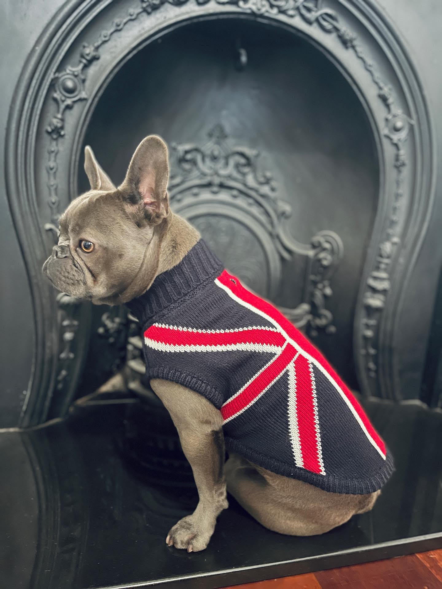 Union Jack Dog Sweater Coco & Pud 