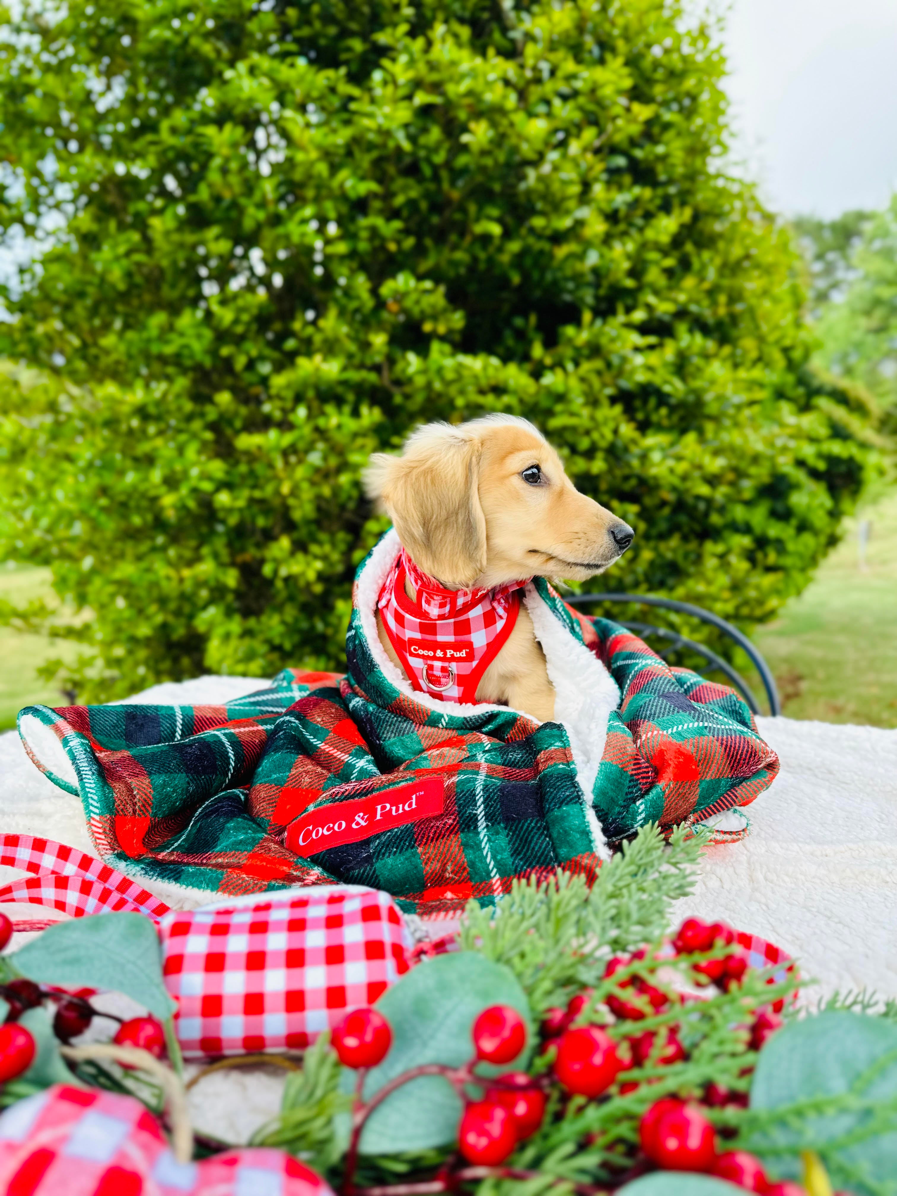 Highland Hound Luxe Blanket