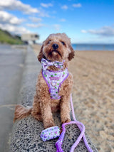 Kiki in Coco & Pud Lilac Gingham Dog Harness