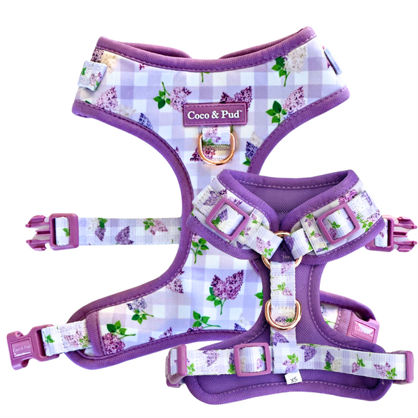 Coco & Pud Gingham Lilac Adjustable Dog harness front and back