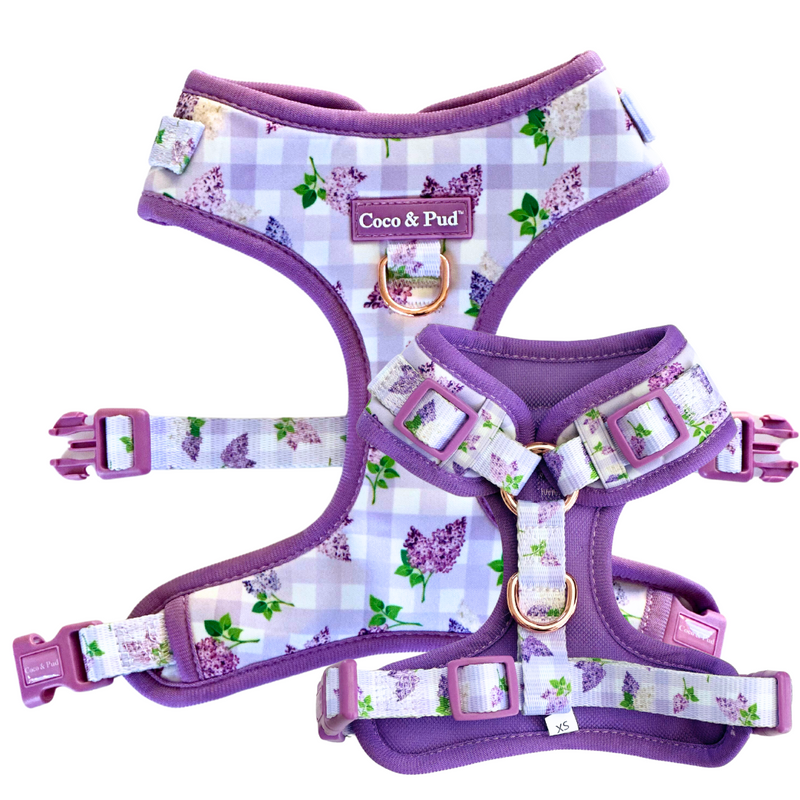 Lilac 2024 dog harness