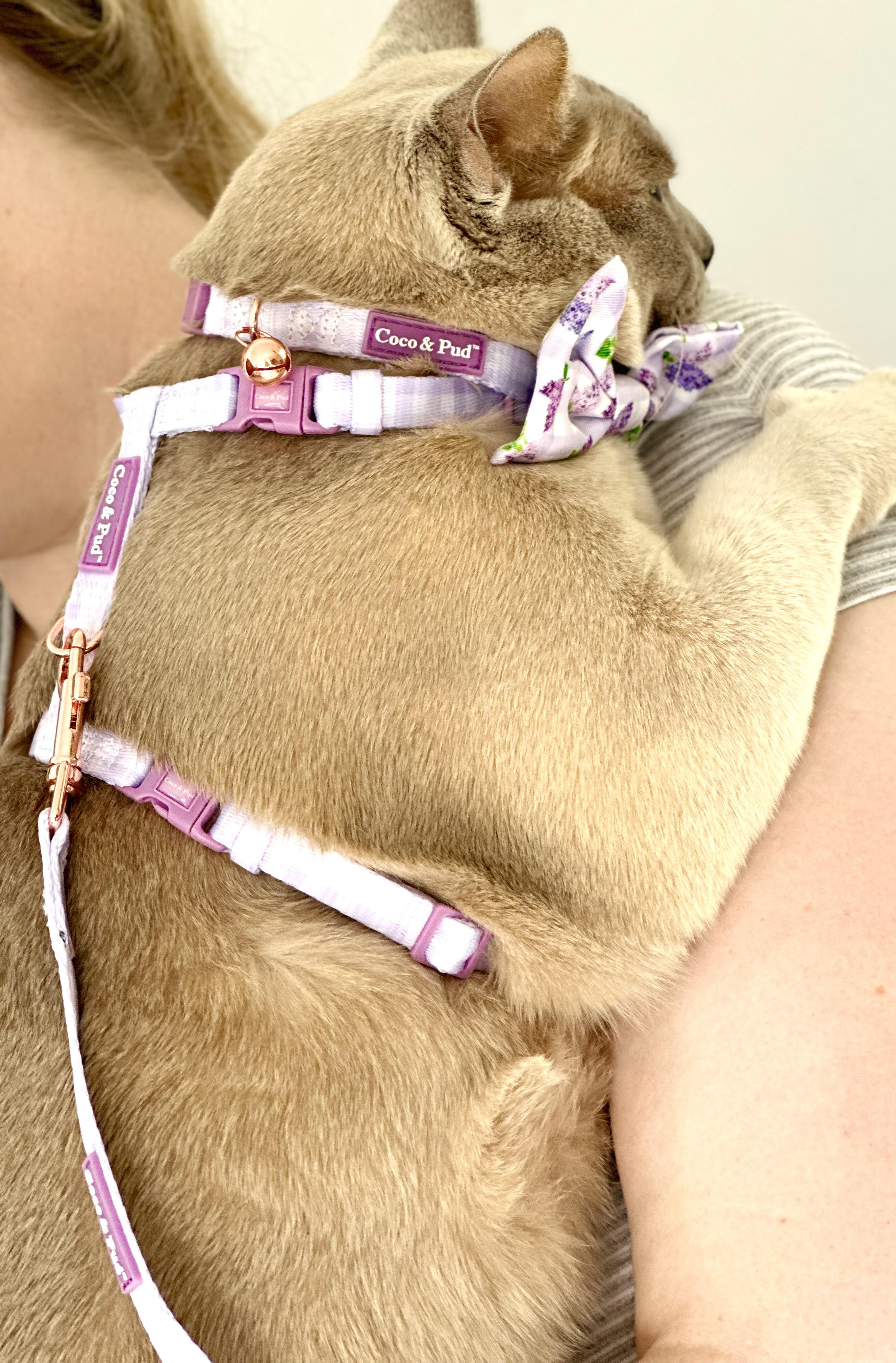 Moet in Coco & Pud Gingham Lilac Cat Harness & Cat Lead