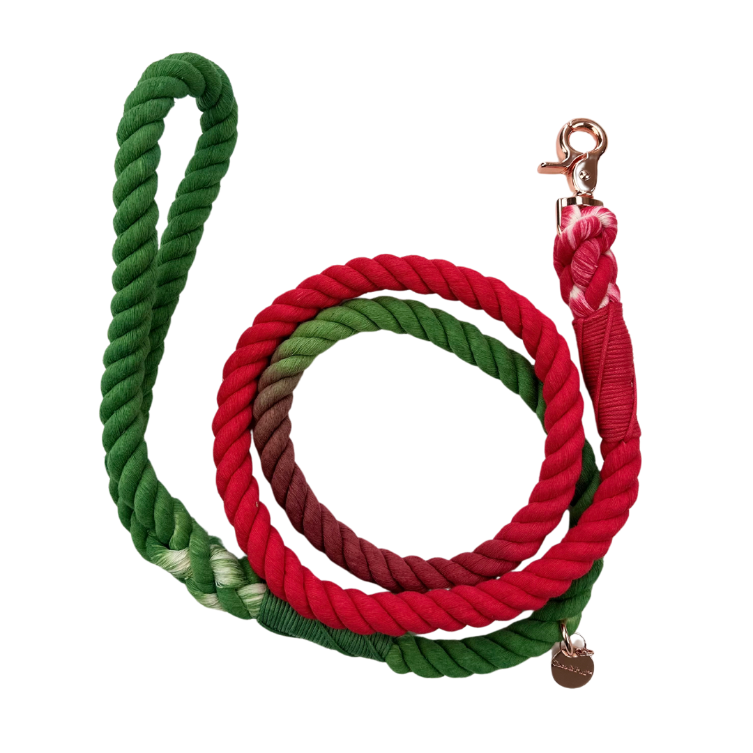 Limited Edition Red/Green Rope Dog Lead/ Leash - Rose Gold