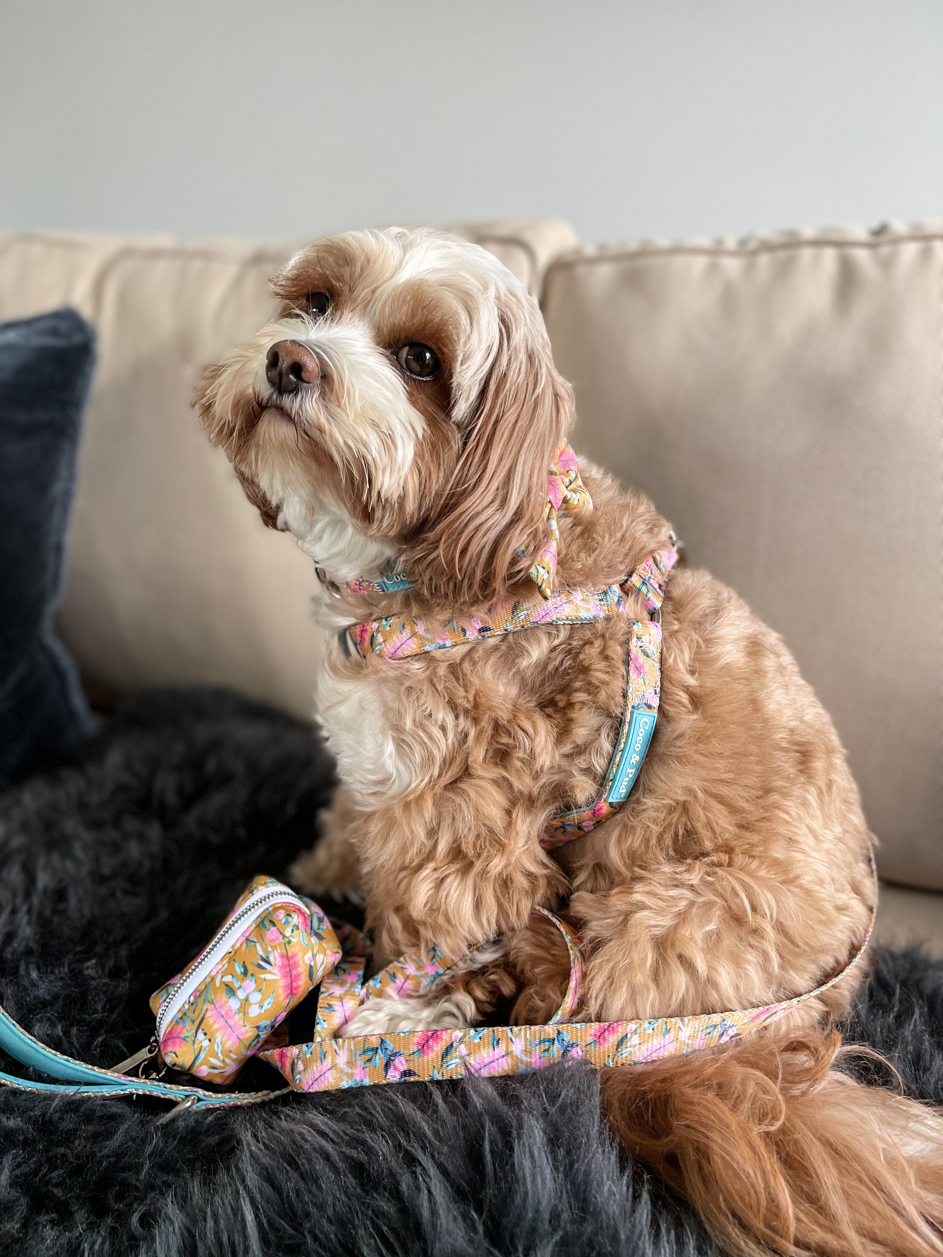 Brush With Nature Puppy Harness by Coco & Pud