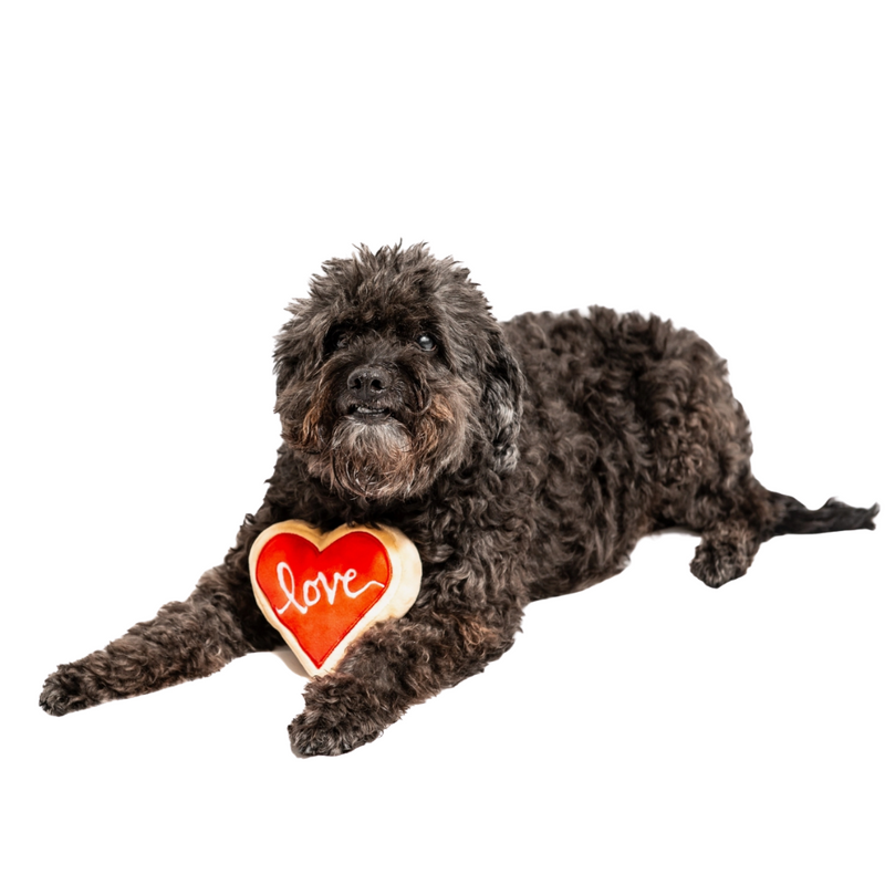 Coco & Pud Midlee Red Heart Love Sugar Cookie Valentines Day Dog Toy