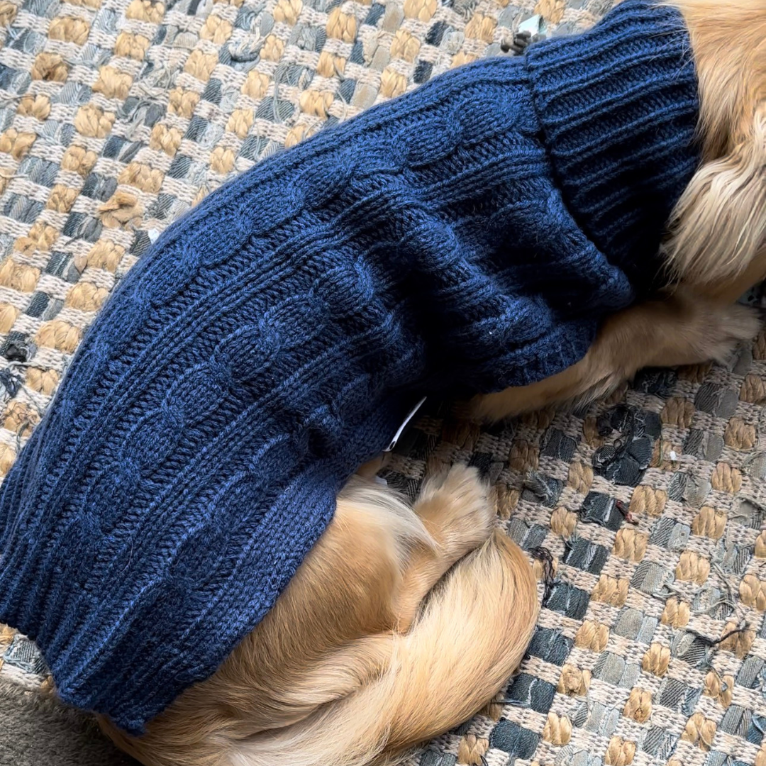 Mimi the Mini Dachshund in Coco & Pud Dachshund Cable Dog Jumper - Navy