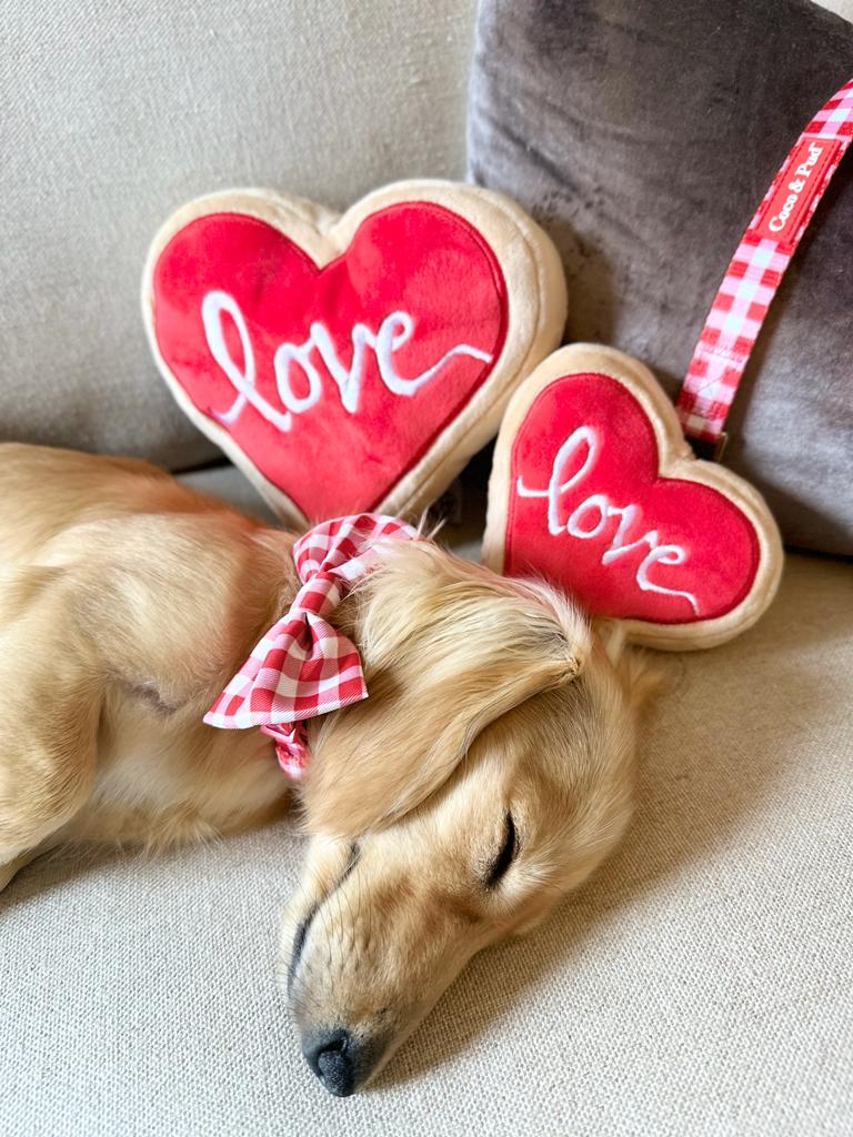 Gingham Red Puppy Harness