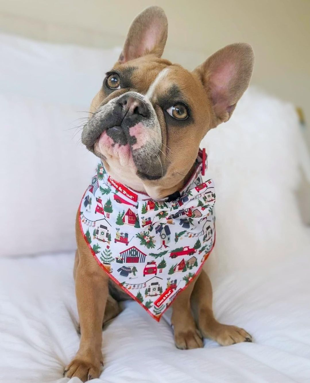 Home For Christmas Dog Bandana Coco Pud