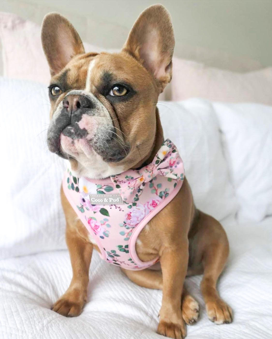 Coco & Pud Provence Rose Reversible Dog Harness