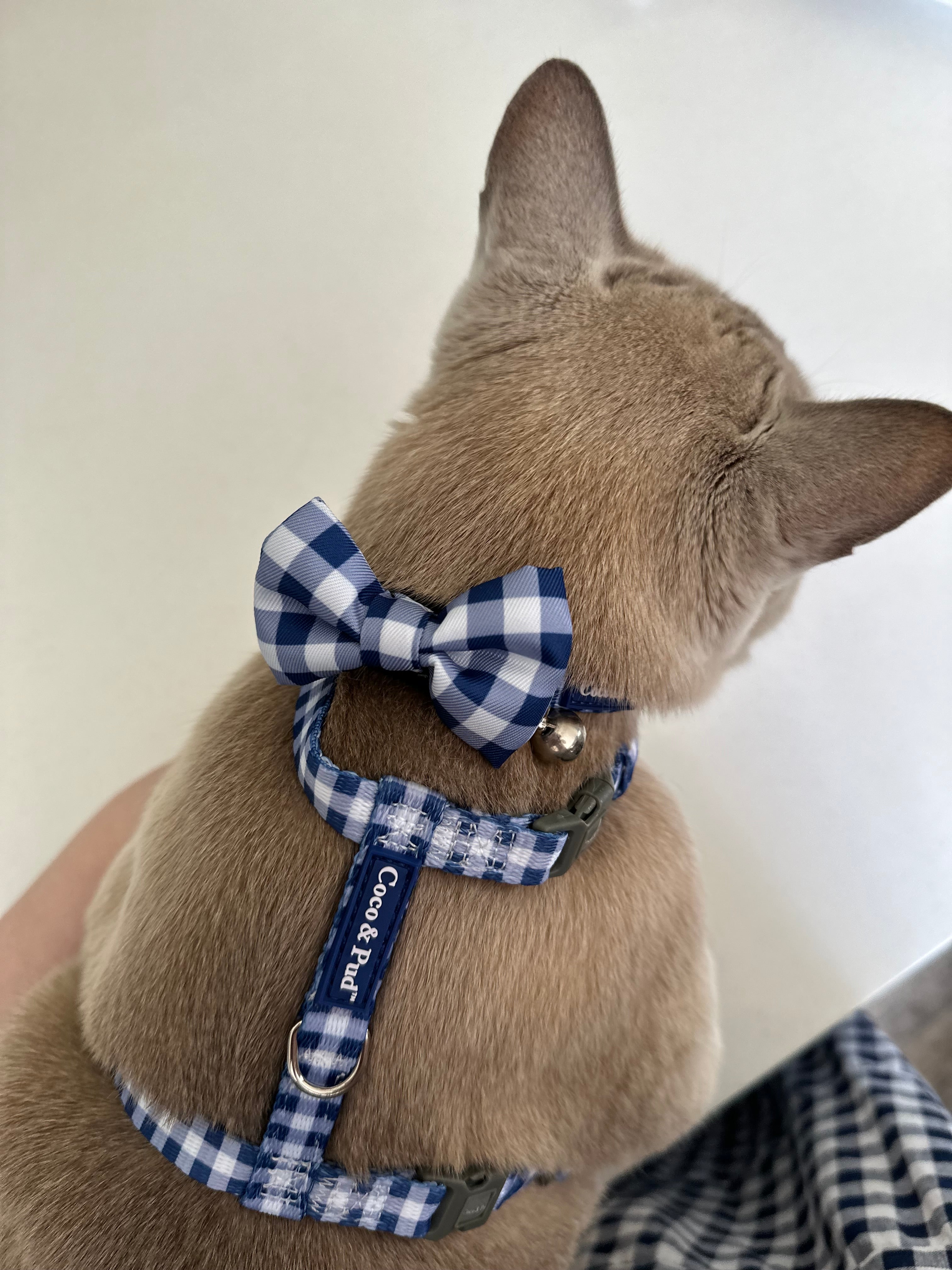 Gingham French Navy Cat Harness by Coco  Pud