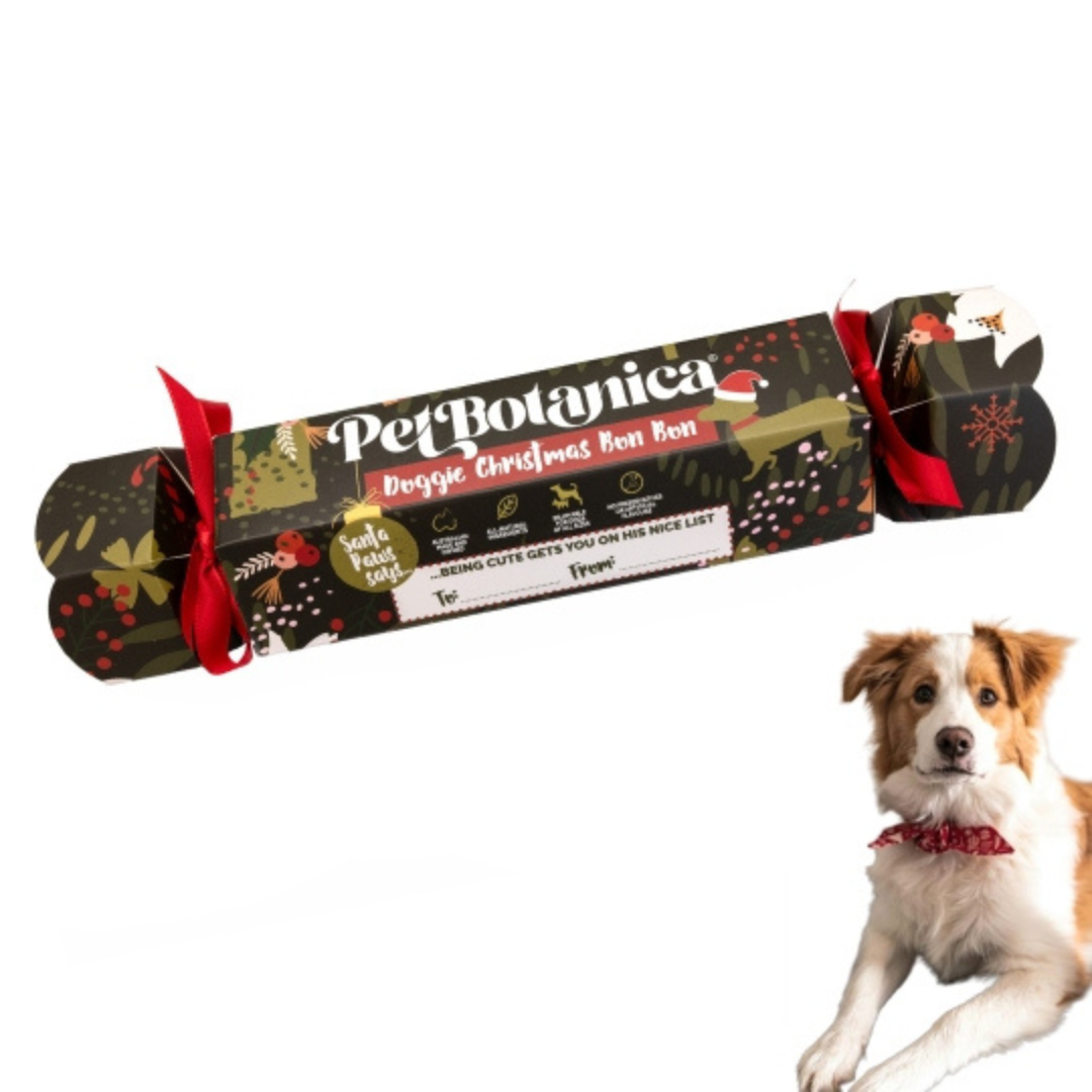 Coco & Pud Pet Botannica Doggie Bon Bon