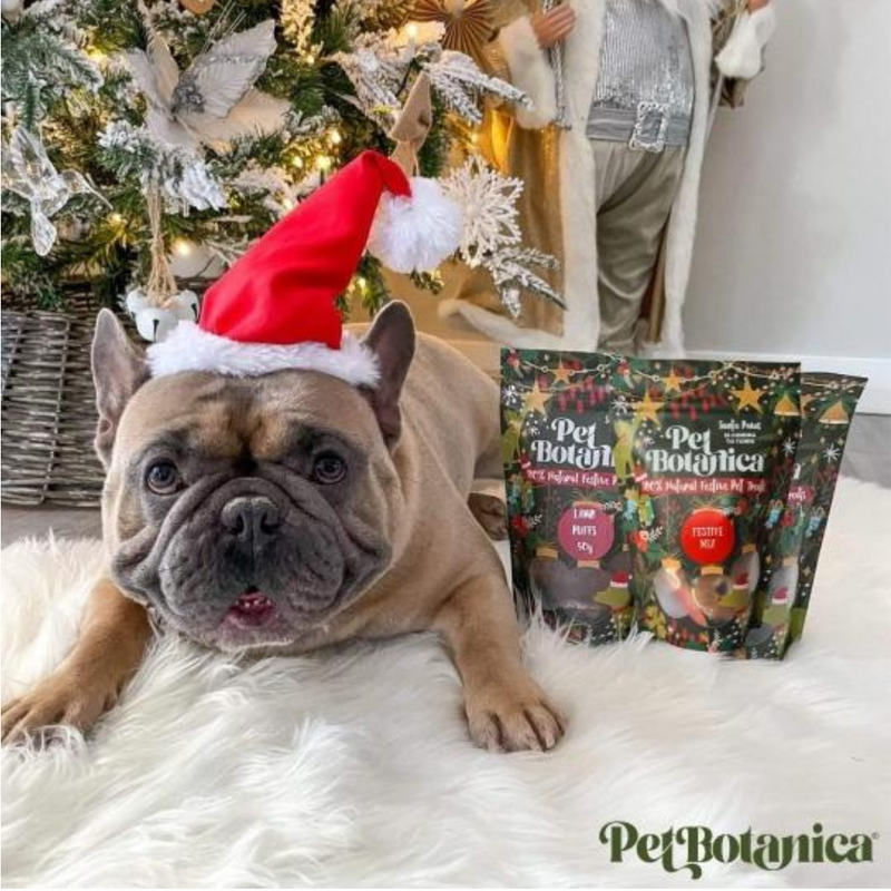 Coco & Pud Christmas Dog treats