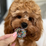 Coco & Pud Pet Botannica Little Doggie Donut Treats