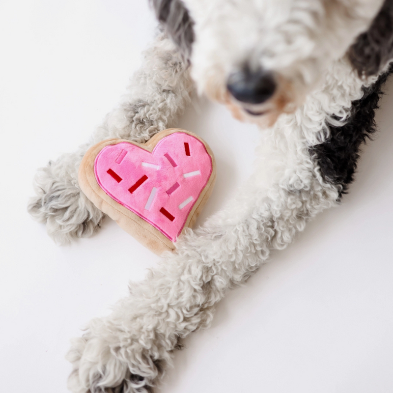 Valentines day cheap dog toys