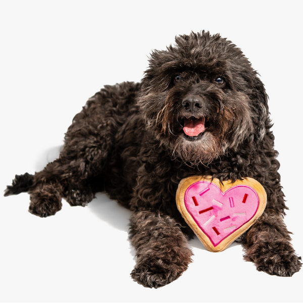 Coco & Pud Pink Heart Sugar Cookie Dog Toy