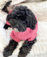 Pippa in Coco & Pud Peony Coco Cable Pet Sweater