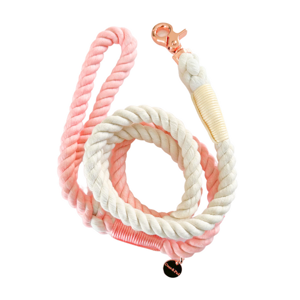 Rose Ombre Rope Dog Lead/ Leash