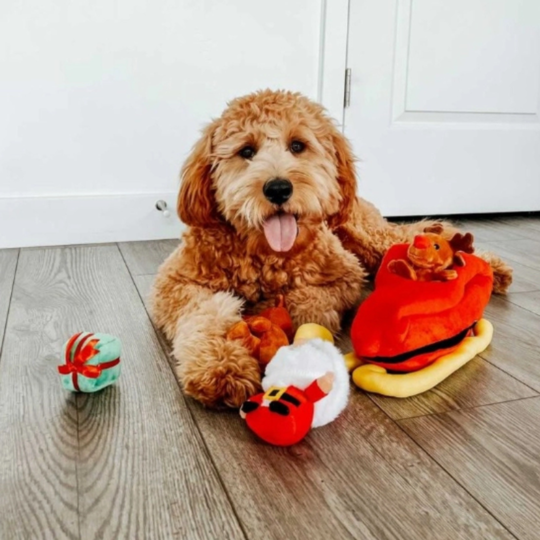 Coco and Pud Santa Sleigh Find A Toy Christmas Dog Toy