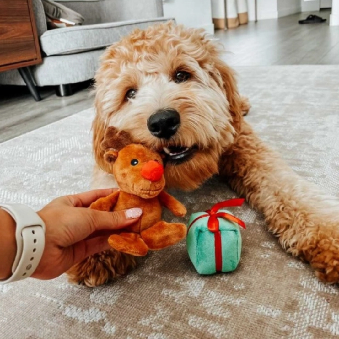 Coco and Pud Santa Sleigh Find A Toy Christmas Dog Toy