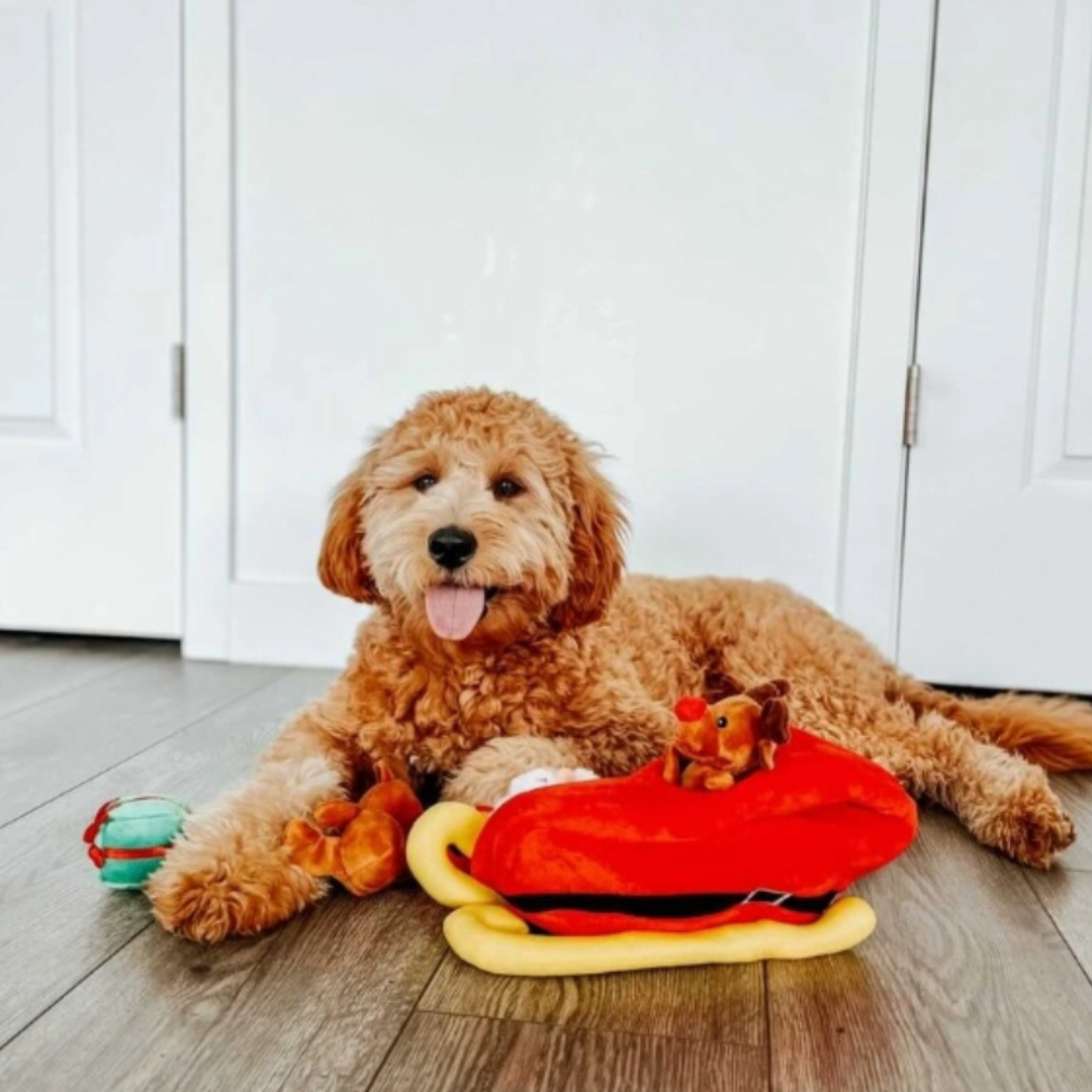 Coco and Pud Santa Sleigh Find A Toy Christmas Dog Toy