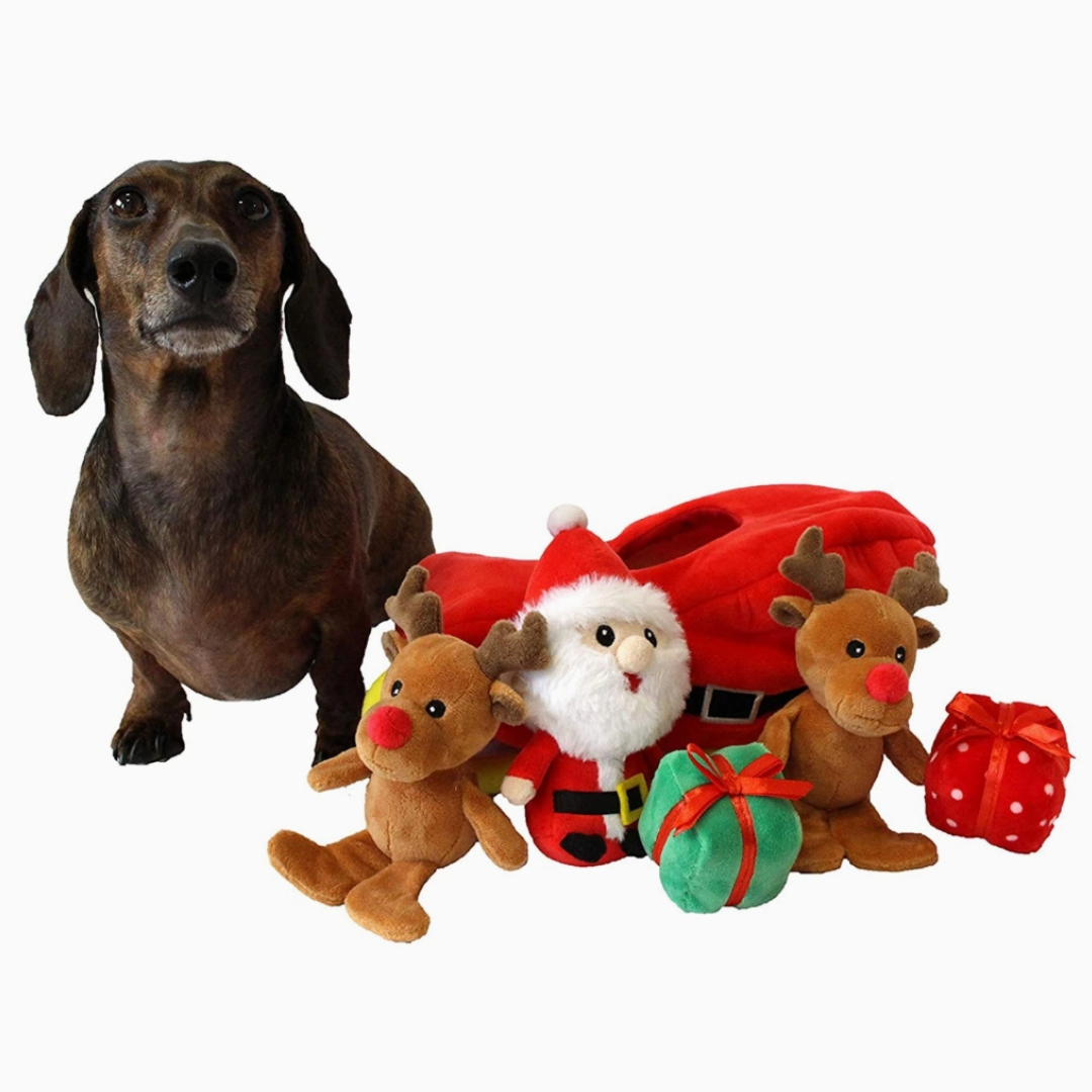 Coco and Pud Santa Sleigh Find A Toy Christmas Dog Toy