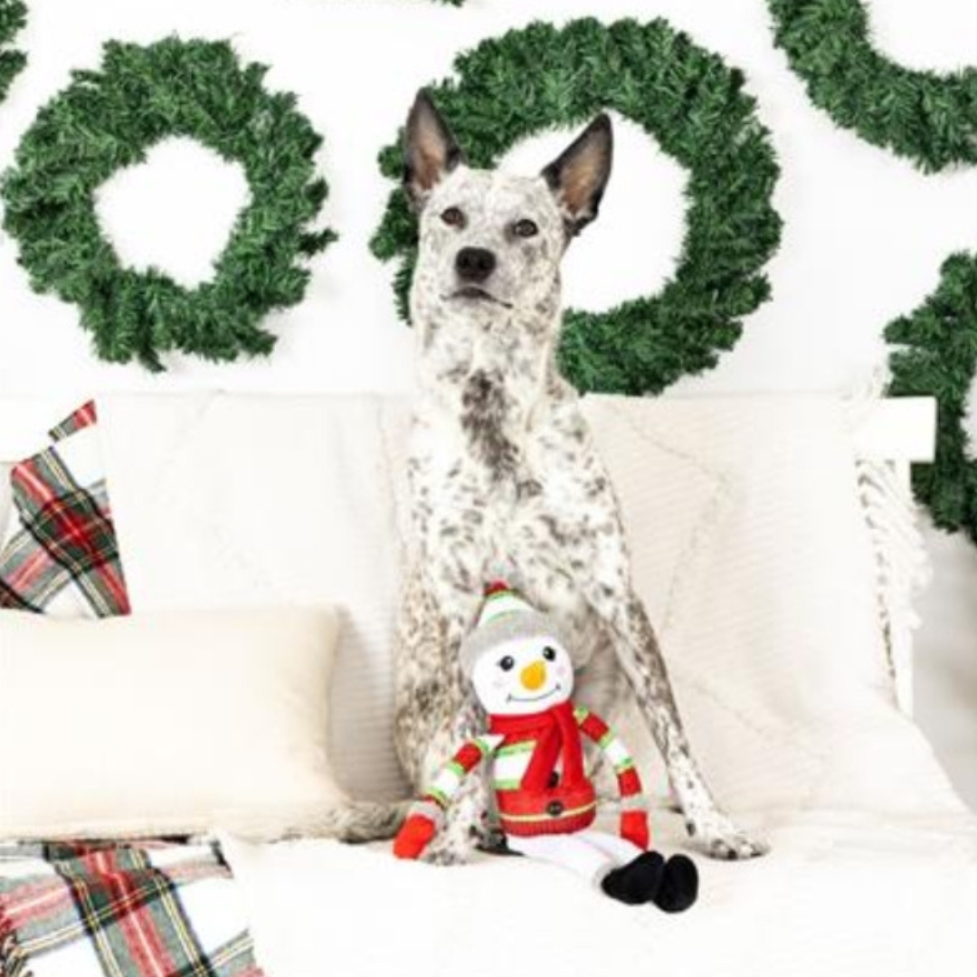 Too Cute to Chill Christmas Dog Toy