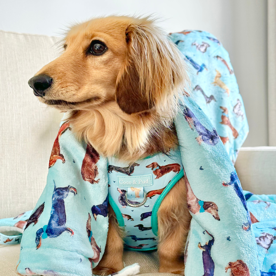 Doxie Love Luxe Blanket