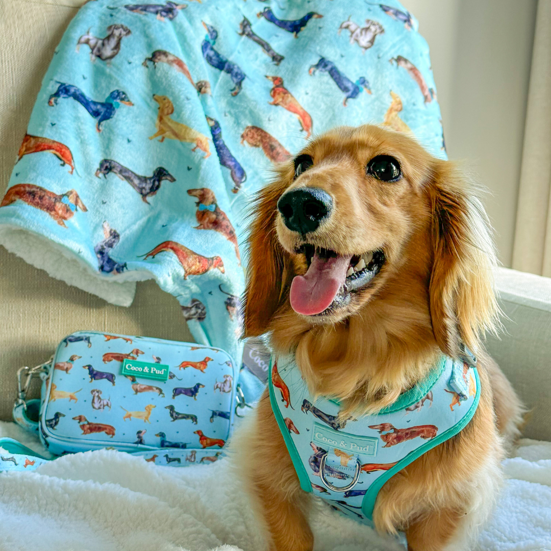 Doxie Love Luxe Blanket