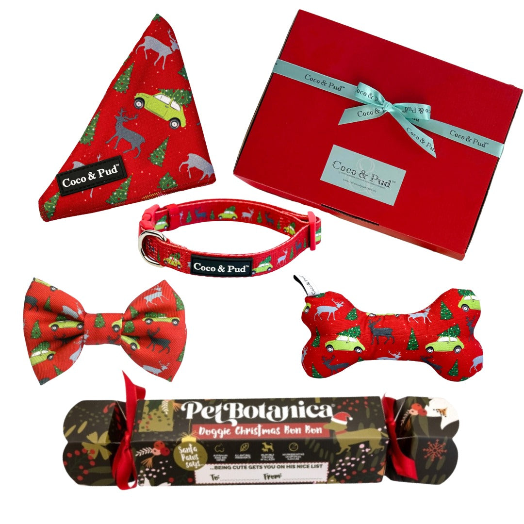 Coco & Pud Christmas Bon Bon Mini Hamper - Deck the Paws