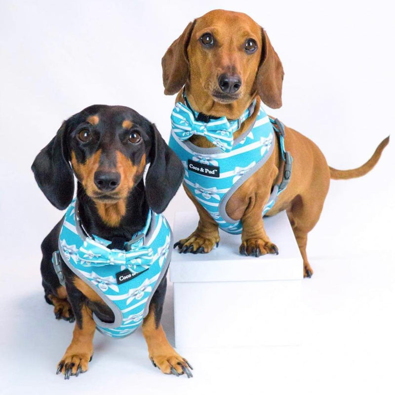 Coco & Pud Audrey Dog Harness