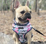 Coco & Pud Floral Blooms Reversible Dog harness