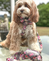 Maisie in Coco & Pud Vintage Garden Uniclip Lite Step in Dog Harness