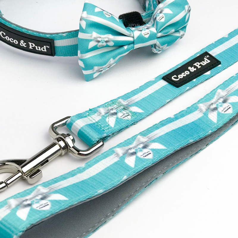 Coco & Pud Walk on the Wild Side Reversible Dog Harness